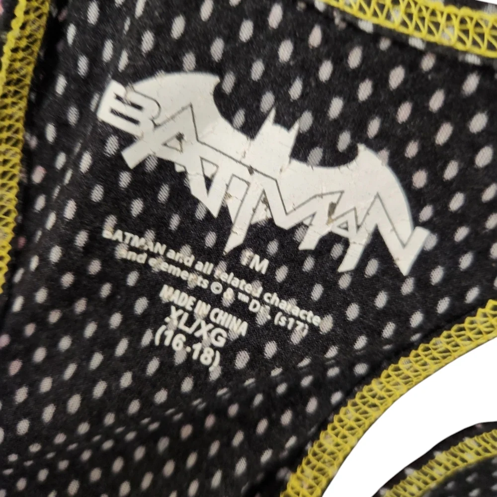 Batman 2 Piece Pajamas Size XL‎ 16-18